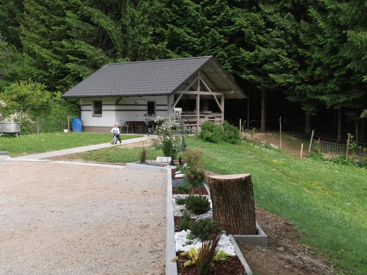 Gostilna S Prenocisci Pav Hotel Rakek ภายนอก รูปภาพ